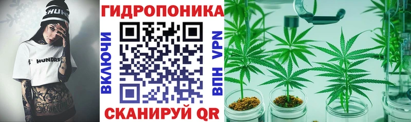 Где найти наркотики Елизово Псилоцибиновые грибы АМФЕТАМИН Марихуана ГАШИШ APVP КОКАИН