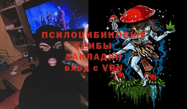 дмт Горняк