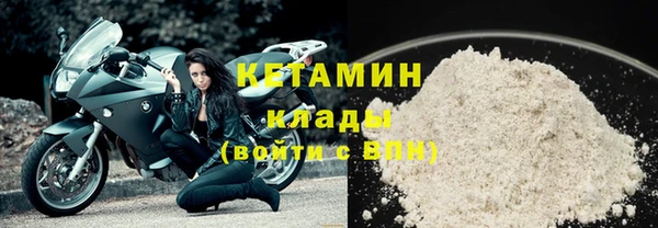 прущие грибы Гусь-Хрустальный